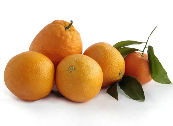 Laranjas Como Frutas Cítricas Deliciosas Doces Suculentas Com Vitaminas — Fotografia de Stock