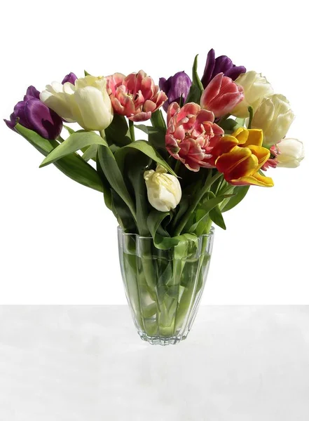 Różne Kolorowe Tulipany Jako Ładna Wiosna Posy Zbliżyć — Zdjęcie stockowe
