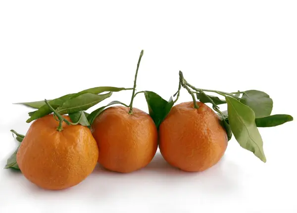 Lédús Édes Finom Narancs Mint Vegetáriánus Ételek Közelről — Stock Fotó