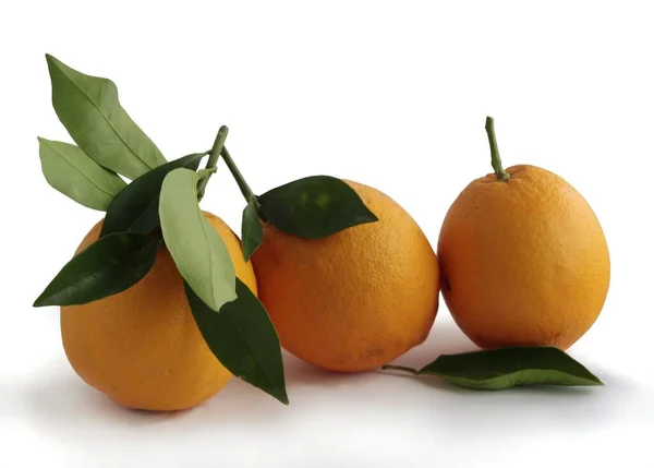 Saftige Süße Köstliche Orangen Als Vegetarische Kost Aus Nächster Nähe — Stockfoto