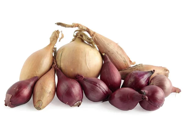 Red White Various Onions Vegetable Close — Stock Photo, Image