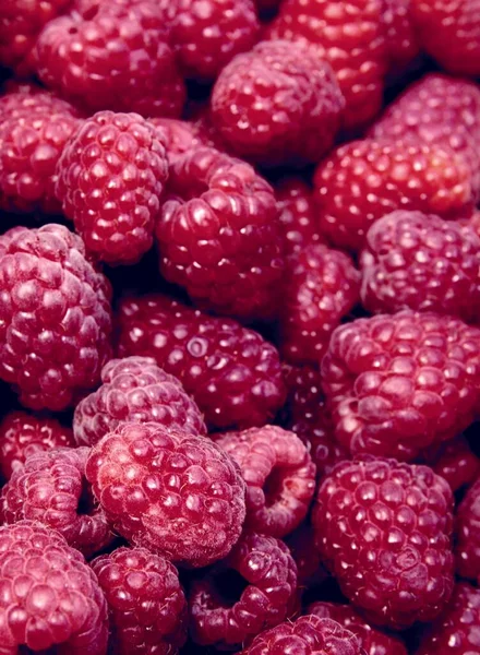Sweet Red Raspberries Delicious Fruit Close — Stock Photo, Image