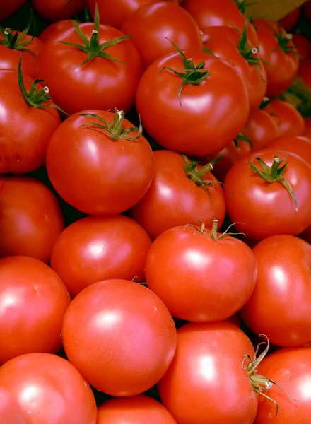 Tomates Vermelhos Como Deliciosa Comida Vegetariana Com Vitamina — Fotografia de Stock