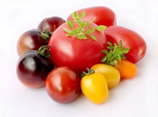 Varios Tomates Sabrosos Coloridos Como Deliciosa Comida Vegetariana —  Fotos de Stock