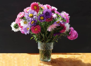 Bahçeden güzel çiçekler gibi renkli asterlerin var.