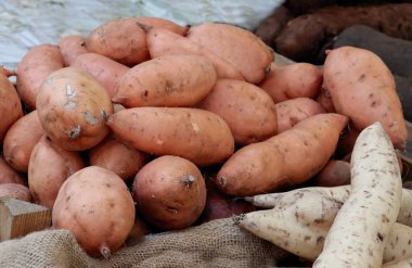 Yemek pişirmek için çeşitli renkli sebzeler. Kapatın.