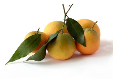 sulu, tatlı, lezzetli, vitaminli portakallar.