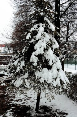 Kar, buz, buz ve buzla kaplı kış manzarası 