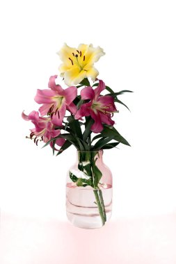 Güzel, renkli sarı, pembe, kırmızı yaprak zambak yaprakları yaz güneşli yaz gününde