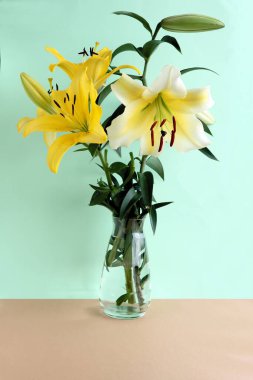 Güzel sarı zambak çiçekleri Bahçede kahverengi polenler