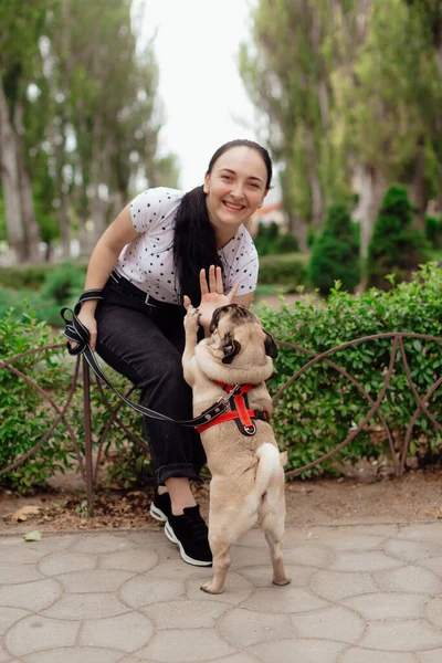 Junges Mädchen Geht Mit Hund Mops Park Spazieren Sitzt Auf Stockfoto