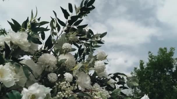 Белые Цветы Кусте Зелеными Сочными Листьями Развиваются Легком Летнем Ветре — стоковое видео