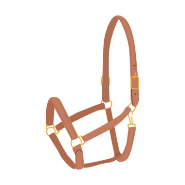 At Halter. At eğitimi için başlık. Ahır ekipmanları. Binici deri raptiyesi. At sporları. At bakımı için aksesuarlar. Bahçe. Vektör illüstrasyonu renkli düz el çizim biçimi.