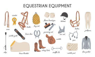 Horse riding colored flat icons vector set. Equestrian equipment illustrations in trendy modern hand drawn style. Equine sports signs. Dressage, show jumps elements. Horse stable tools.  clipart