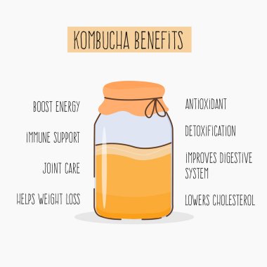 Kombucha sağlık sigortası kartı. Fermente probiyotik ev yapımı içecek. Scoby ile birlikte mason kavanozunda çay mantarı mayası. Sağlıklı çay mantarı içeceği. Düz stil el çizimi vektör çizimi.