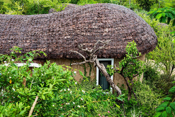 Leaf thatched house, imitation of old culture and construction technology