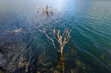 Göl Doxa Peloponnese, Yunanistan için görünümünü