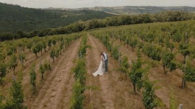Tuscan üzüm bağında duran Düğün Çifti 'nin İHA Yörüngesi