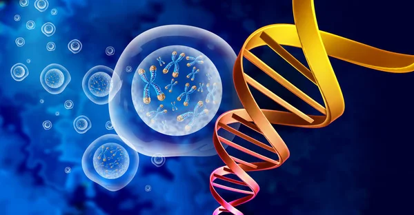 Estrutura Genética Dns Núcleo Células Cromossómicas Com Conceito Telómero Dupla — Fotografia de Stock