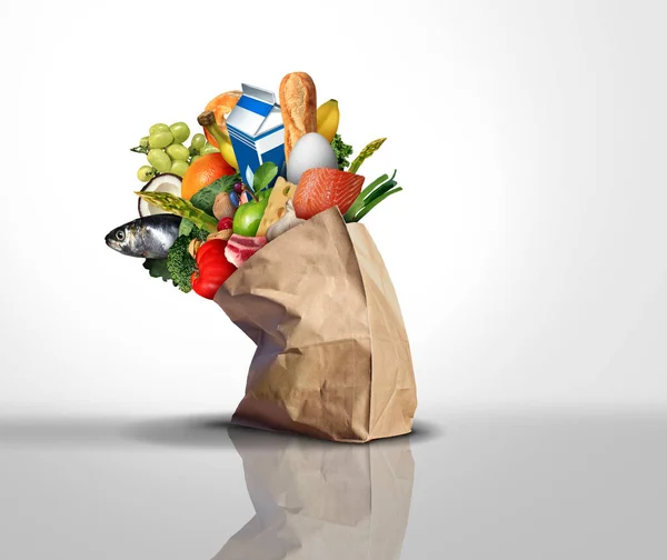 充满食品杂货的购物袋 代表消费者价格和食品成本 或超级市场价格 家庭预算和家庭预算概念 是超级市场带有3D渲染元素的购物袋中的存储产品 — 图库照片