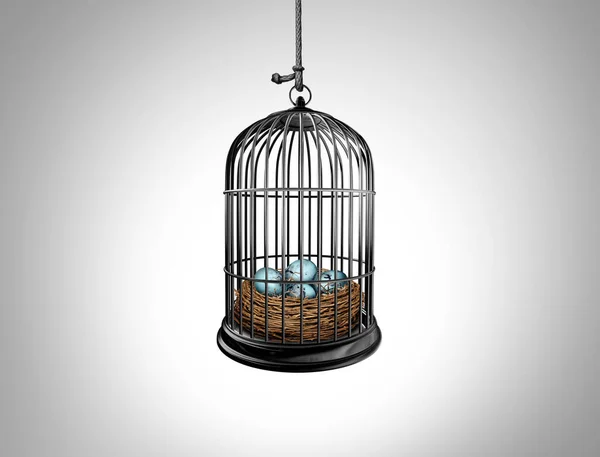 Limited Opportunity Concept Lack Future Opportunities Nest Full Eggs Imprisoned — Stock Photo, Image