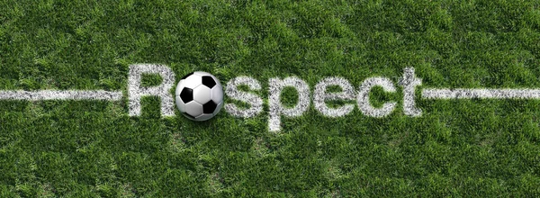 足球和足球尊重 将少数群体纳入体育平等和平等权利 并庆祝体育多样性 将其作为一个草场 草地上有欧洲足球脚球 草皮上画有带3D插图的线条 — 图库照片
