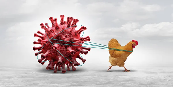 Avian Influenza Bird Flu Crisis Poultry Virus Chicken Viral Infected — Foto Stock