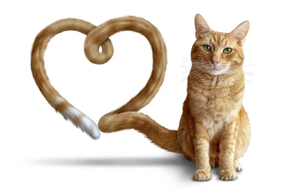 猫はジンジャー猫としての猫の健康管理と獣医療法の象徴としての猫の愛または健康なペットのためのハート型のかわいいタビー — ストック写真