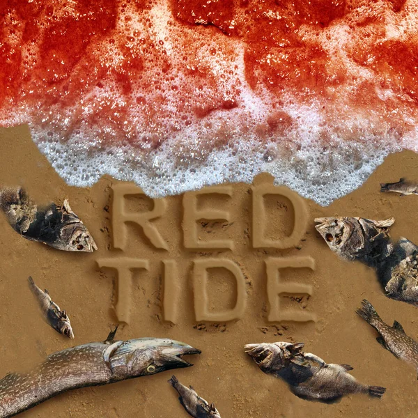 stock image Red tide as  harmful algal blooms as a beach warning with hazardous natural toxin in the ocean or sea toxins s a concept for deadly natural toxic algae in a 3D illustration style.