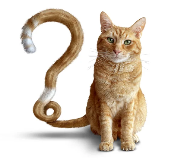 猫の質問は 健康的なペットのアドバイスのための疑問符の形を持つジンジャー猫やかわいいタビーとしての猫の健康管理と獣医療法混乱の象徴として — ストック写真