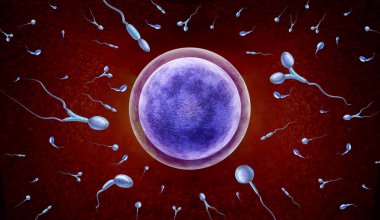 Sperm disorder and Male Infertility and reproduction concept as abnormal microscopic sperm or spermatozoa cells swimming towards an egg cell to fertilize as a urology symbol as a 3D render. clipart