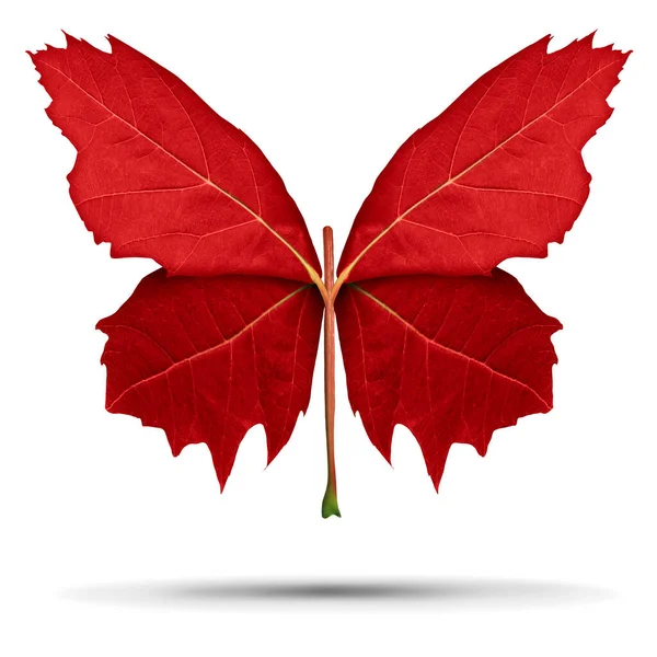 カナダとカナダの文化や学習発見のための自然のメタファーとして蝶の開いた翼として形成された赤いカエデの葉と白の背景に変換シンボル — ストック写真