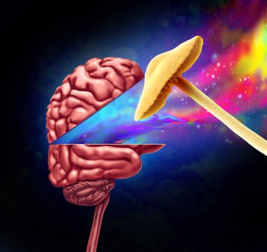 Psychedelic Drugs and Hallucinogenic drug as a mushroom symbol opening the mind as Brain psychedelics therapy and psychiatry treatment using natural hallucinogen with 3D illustration elements. clipart