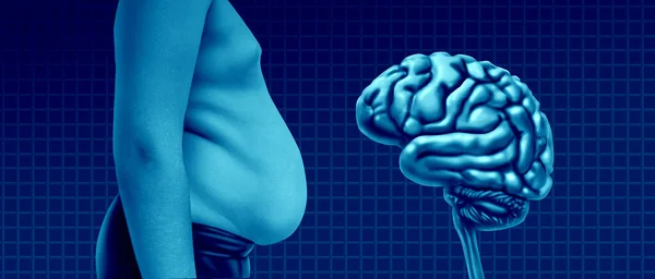 Fetma Och Hjärnan Som Viktökning Och Övervikt Eller Fetma Hälsotillstånd — Stockfoto