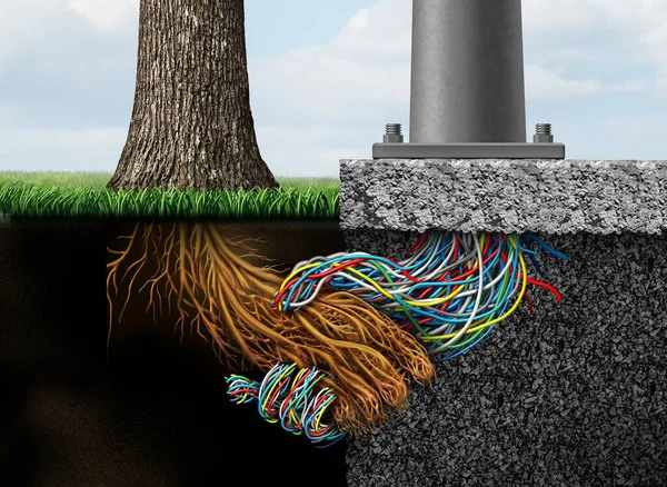 Doğa Teknoloji Sanayileşme Ağaç Kökü Elektrik Kabloları Ile Kentsel Planlama — Stok fotoğraf