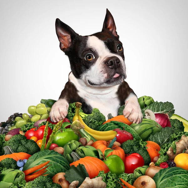 Vegetarian or Vegan dog Diet and canine vegetable and fruit Diet as health benefits for dogs eating fruits and vegetables as plant-based diets with green alternative meal for puppy pets as veggies with nutrients through plant additives.