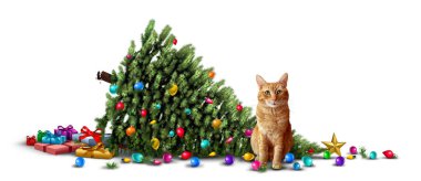 Funny Cat  and Mischievous kitty as a Christmas Tree Mishap as a humorous Holiday kitten with a guilty expression next to a fallen decorated evergreen as a seasonal greeting symbol for yuletide joy. clipart