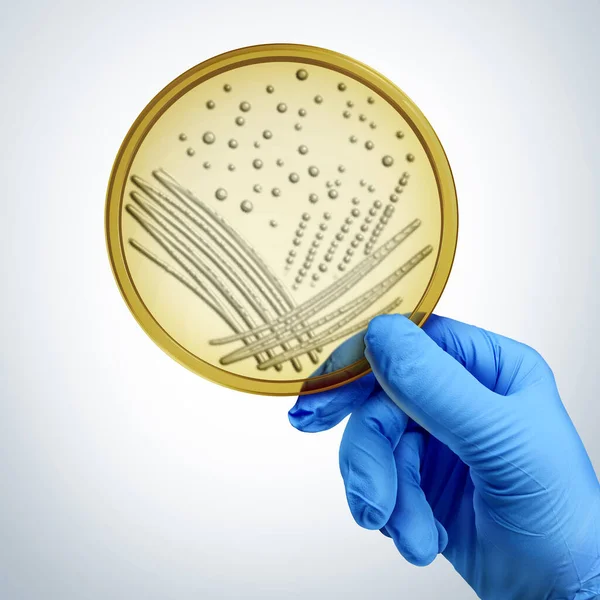 Eine Petrischale Der Hand Als Wissenschaftler Oder Biologe Mit Kultiviertem — Stockfoto