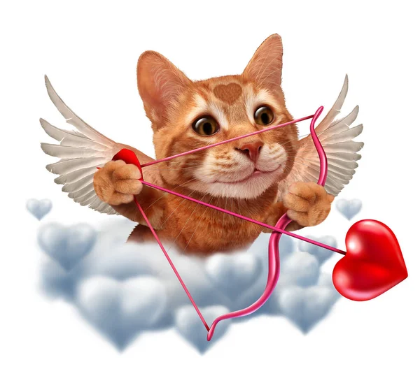 Cute Cupid Cat Mit Flügeln Und Herzförmigem Pfeil Als Happy — Stockfoto