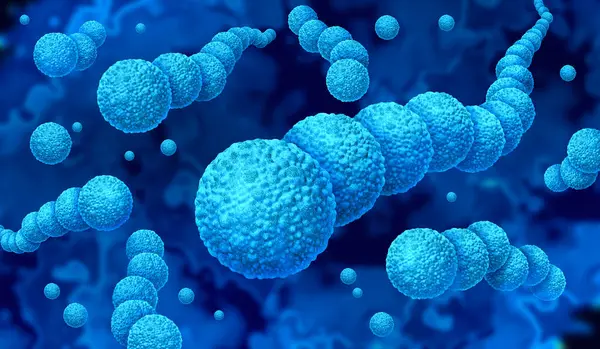 Streptococcus Bacteria Streptococcal Infections Gram Positive Bacterial Outbreak Spherical Streptococcaceae — Stock Photo, Image
