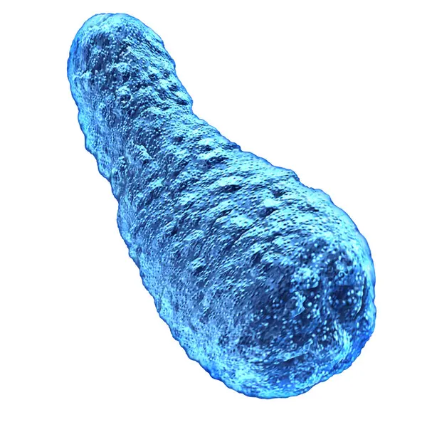 ボツリズムバクテリアは クロストリジウムボツリヌス菌によって引き起こされる重篤な病気としてのシンボルであり 白で隔離された汚染された食品に含まれる筋肉の弱さと麻痺につながる麻痺性毒素を産生する ストック写真