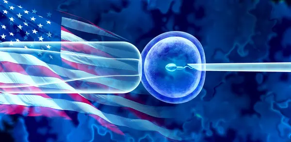 Ivf Embryo Social Issues Legal Concerns Controversial Issue American Politics — Stock Photo, Image