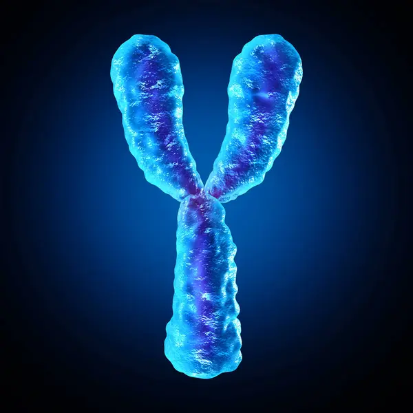 Cromossoma Como Biologia Humana Estrutura Cromossômica Contendo Informação Genética Dna — Fotografia de Stock