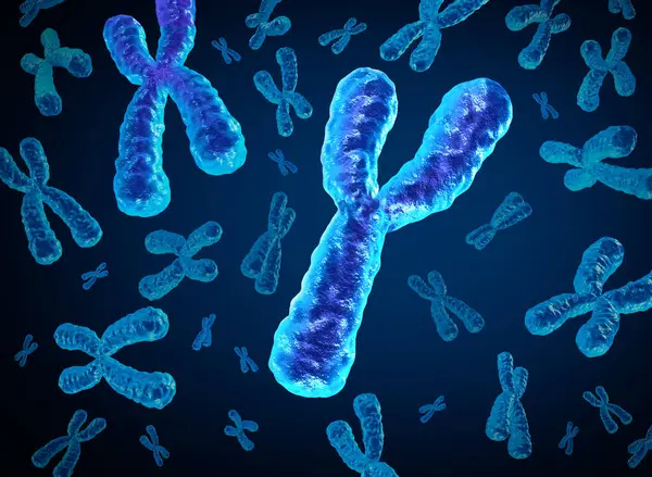 Cromossomas Desaparecendo Cromossomas Morrendo Como Conceito Para Uma Biologia Humana — Fotografia de Stock