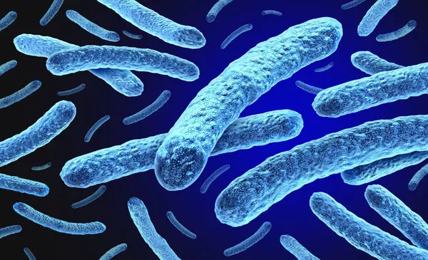 Lepra Mycobacterium Leprae Las Bacterias Como Síntomas Una Enfermedad Infecciosa — Foto de Stock