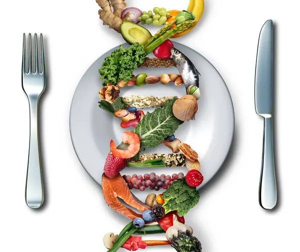 長寿ダイエット科学とアンチエイジングダイエットは 人間が低カロリーと高繊維の古典的な地中海の食事として栄養価の高い抗酸化物質として長生きするのを助けるマインドフルな食べ物として生きるのを助けます ロイヤリティフリーのストック画像
