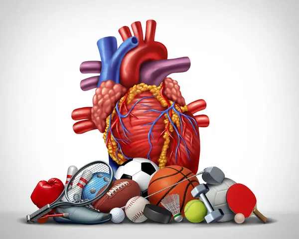 체육관에서 스포츠 훈련으로 심혈관 건강을 향상시키고 순환을 향상시킬 있습니다 로열티 프리 스톡 이미지