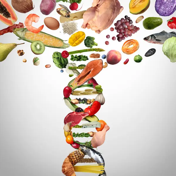 Livsmedelsvetenskap Och Genetiskt Modifierade Livsmedel Eller Genetiskt Modifierade Grödor Som Stockfoto
