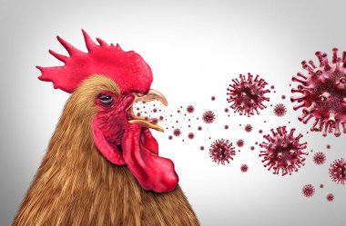 Spreading Bird Flu and Highly Pathogenic Avian Influenza or HPAI crisis and farm virus as a viral poultry infected chicken or livestock health risk for global infection outbreak or agricultural public safety symbol. clipart