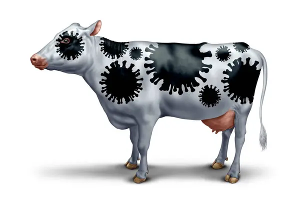 Cow Virus Outbreak Bovine Coronavirus Symbol Agricultural Pathology Symbol Effects Royalty Free Stock Images